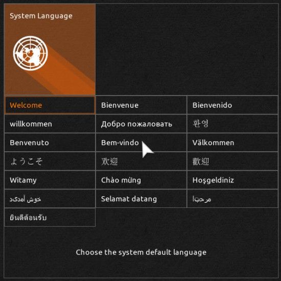 12 bios system language